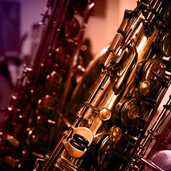 Exposition d’instruments