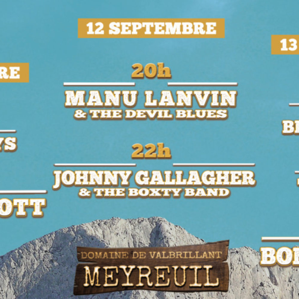 Blues Roots Festival 2020
