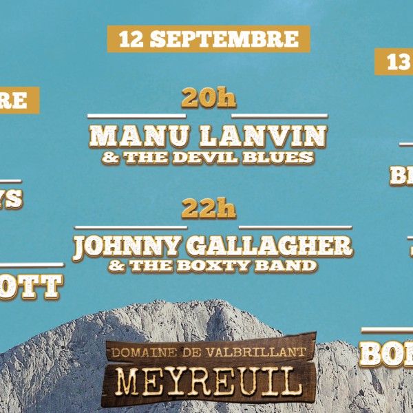 Blues Roots Festival 2020