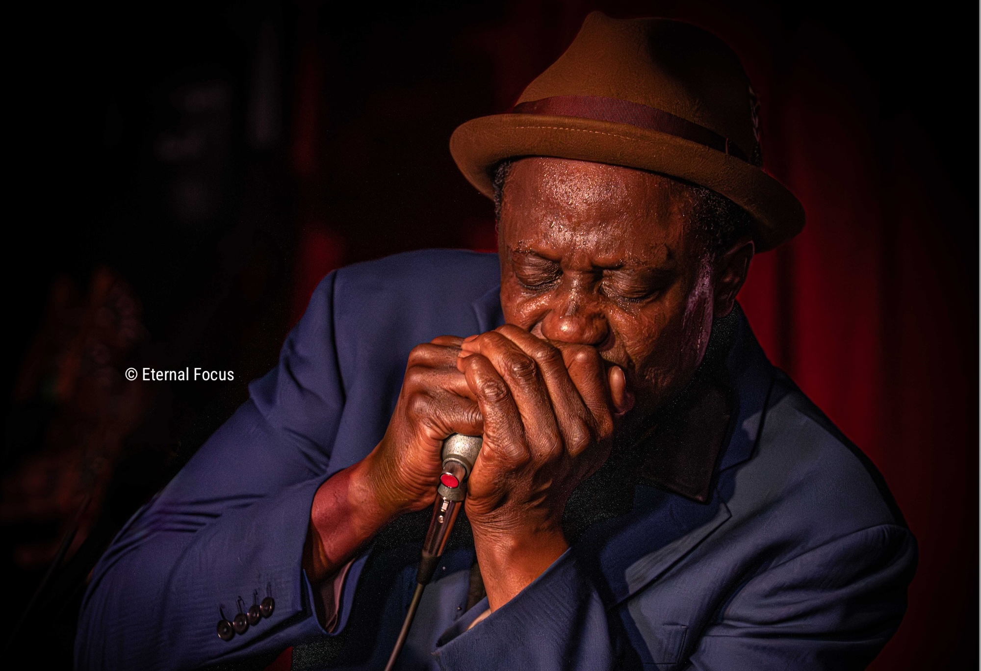 errol-linton-credit-eternal-focus-2-photo