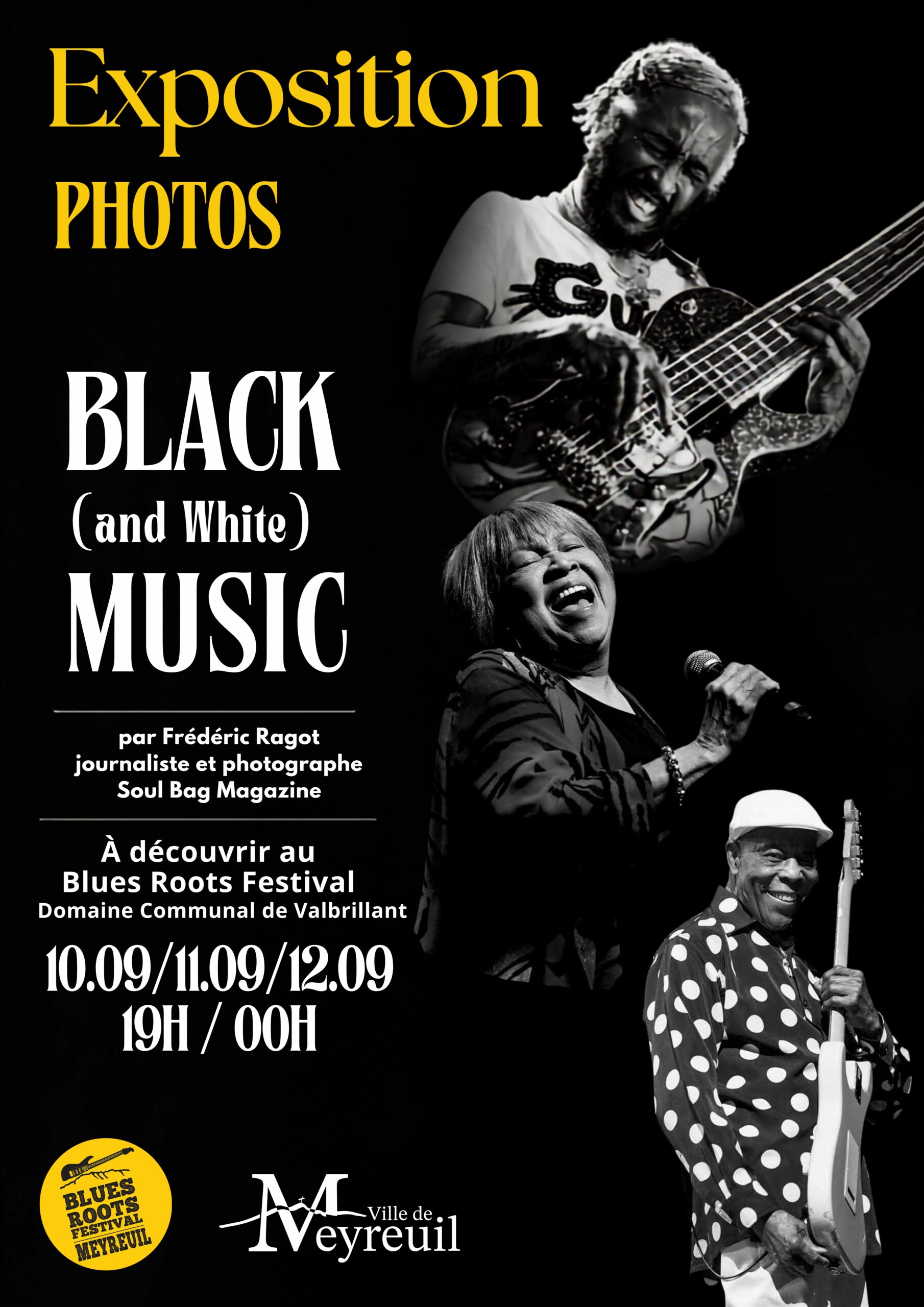 Exposition photos exclusive au Blues Roots Festival de Meyreuil